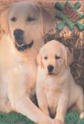 puppy dog jigsaw