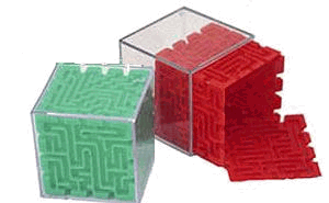 Tobar's Maze Cube